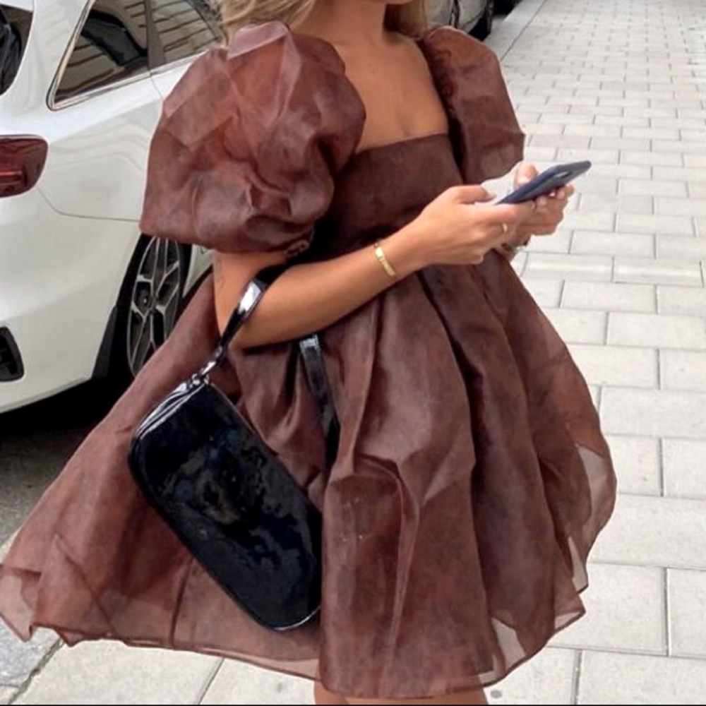 Elegant Brown Mini Dress